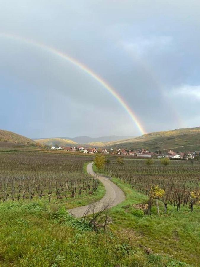 Вилла Un Petit Coin D'Alsace Сульцмат Экстерьер фото